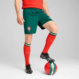 Puma Portugal Short 2023/24 grün Herren Gr. M