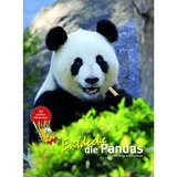 Natur und Tier Entdecke die Pandas
