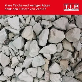 T.I.P. Teichpflegemittel Zeolith, 6 l, 5,5 kg, natürliche Teichreinigung, 35047 Teich-Filterzubehör 1St.