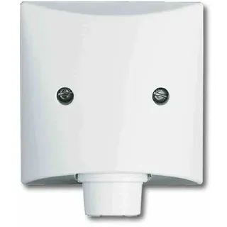 Busch-Jaeger Zentralscheibe aws für Leitungsauslass 2133-34