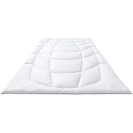 Kauffmann Wildseide Sommer-Bettdecke -200x200cm