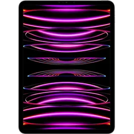 Apple iPad Pro 11" (4. Generation 2022) 256 GB Wi-Fi space grau