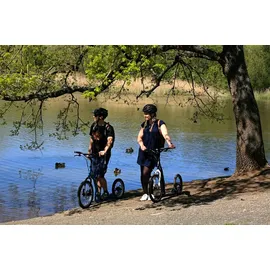 Yedoo Scooter Yedoo Three Y40 Tretroller mit Luftreifen 20/16 Rot