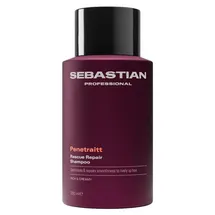 Sebastian Professional Penetraitt 250 ml