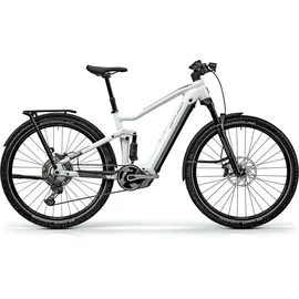 Centurion Lhasa R2600i EQ 29 Zoll RH 0 cm grau/silber/weiß