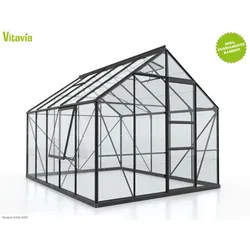 Vitavia Gewächshaus Meridian 1 – 9900 ESG, Schwarz, 2 Dachfenster, 1 Seitenfenster