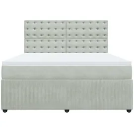 vidaXL Boxspringbett mit Matratze Hellgrau 180x200 cm Samt