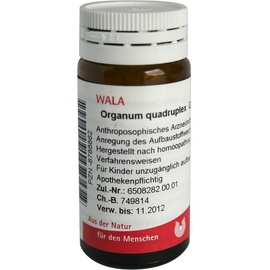 Wala Organum Quadruplex