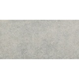 Weitere Bodenfliese Feinsteinzeug Absolute 31 x 62 cm grau