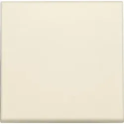 Niko Züblin 100-31002 Abdeckung für einen einzelnen elektronischen Schalter oder Taster, cream 10031002