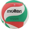 Molten, Volleyball