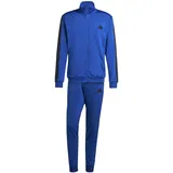 adidas DAYREADY TRAININGSANZUG Herren Team Royal Blue S