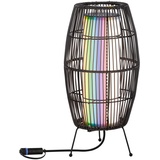 PAULMANN 94754 Plug & Shine LED Lichtobjekt Basket RGBW