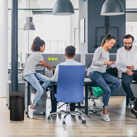 Relaxdays Sensor 12l gold