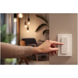 Philips Hue White Ambiance Being 22,5 W schwarz