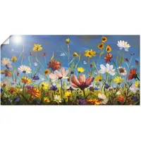 ARTland Artland, Wildblumenwiese blauer Himmel U1QU (40 x 20