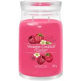 Yankee Candle Red Raspberry große Kerze 567 g