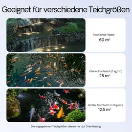 Wiltec SunSun Komplettset: CBF-350B Teichfilter bis 60000 L, NEO10000 SuperECO Teichpumpe 10000l/h 80W, CUV-224 Teichklärer mit 24W, Y-Verteiler