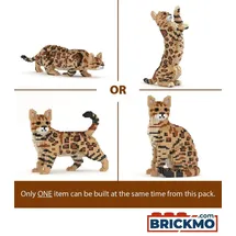 JEKCA Bricks Bengal Cat 4-in-1 Pack 128-tlg. ST19BGC01-M01