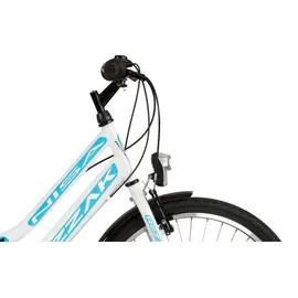 Rezzak 24 Zoll RH 42 cm weiß/türkis