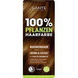 Sante Pflanzenhaarfarbe Maronenbraun 08