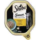Sheba Schale Sauce Collection Frikassee Truthahn & Gemüse 1 x 11 x 85g