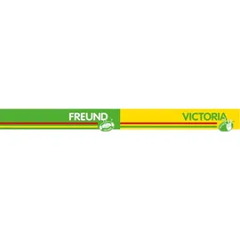 Freund Victoria Ersatzklinge 4000 815 614