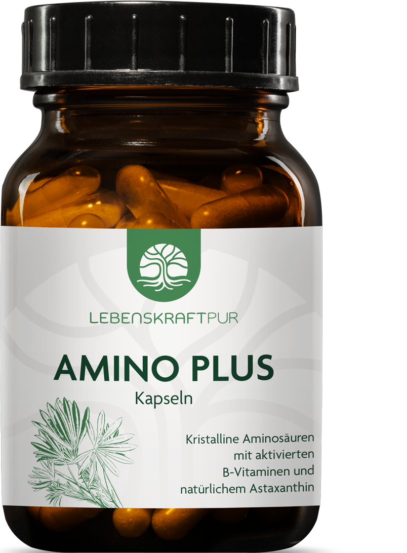 Amino Plus Kapseln