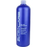 Super Brillant Care HAIR HAUS Super Brillant Care Silver Shampoo 1000 ml