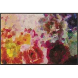 Wash+Dry Colour Blast 50 x 75 cm Mehrfarbig