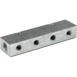 Riegler Verteilerleiste, Abgänge einseitig, Eingang 2x1/8, Ausgang 3xM5