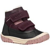 GEOX Omar Girl WPF Ankle Boots Schwarz/Dunkel Lila 25