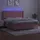 vidaXL Boxspringbett mit Matratze & LED Rosa 180x200 cm Samt