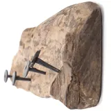 DESIGN DELIGHTS Wandgarderobe Teakroots 50 cm Braun