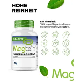 Vit4ever Magtein Magnesium L-Threonat Kapseln 120 St.