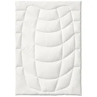 Kauffmann Bambus 155x220 cm B: 155 H: 5