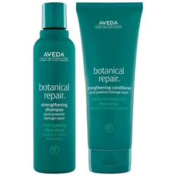 AVEDA Botanical Repair Pflegeduo