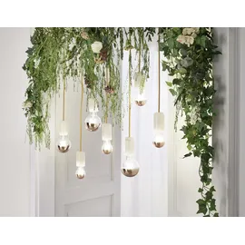 Paulmann LED Lampe Filament AGL 6,5W E27 warmweiß 1 St.