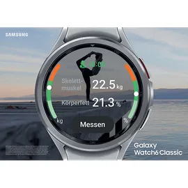 Samsung Galaxy Watch6 Classic Silver 47 mm BT Sport Band Silver