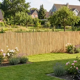 casa.pro Schilfzaun 90 x 300 cm Beige/Natur