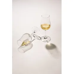 Whiskyglas-Set BAR SPECIAL