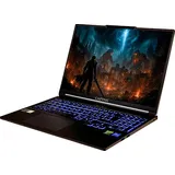 CAPTIVA Entry Gaming I99-416GE 16'' Intel Core i7-14650HX 32 GB RAM 1 TB SSD GeForce RTX 5060 Windows 11 Home Schwarz