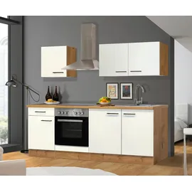 Flex-Well Hängeschrank Vintea 100 x 54,8 x 32 cm Beige