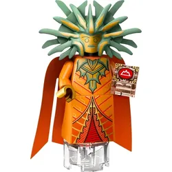 LEGO® - Dungeons & Dragons - coldnd-10 - Dame des Schmerzes (71047)