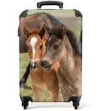 NoBoringSuitcases.com© Hartschalen-Trolley Pferd - Fohlen - Tiere - Kinder - Braun 55x35x20cm, 4 Rollen, Kinder Koffer Klein, Trolley Handgepäck braun|bunt 35 cm x 55 cm x 20 cm