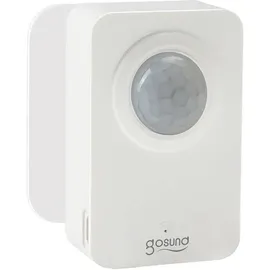 Gosund ST20 Bewegungsmelder ZigBee