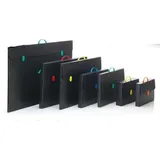 Favorit Koffer 'Every Line' n Polypropylen Hohlveolar, schwarz, Format 52 x 73,5 x 3 cm, abgerundeter Griff und zwei farbige Verschlüsse, geeignet für Reihen von 60 cm