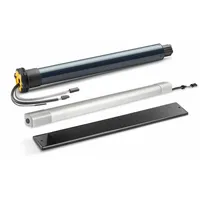 SOMFY RS100 Solar 1245897