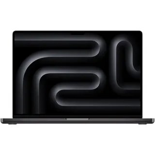 2024 M4 Max 128 GB RAM 2 TB SSD 40-Core GPU Space Schwarz
