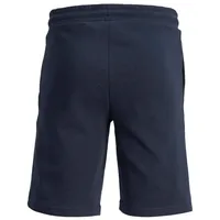 JACK & JONES JACK&JONES JUNIOR Jpstswift Sweat Shorts AUT